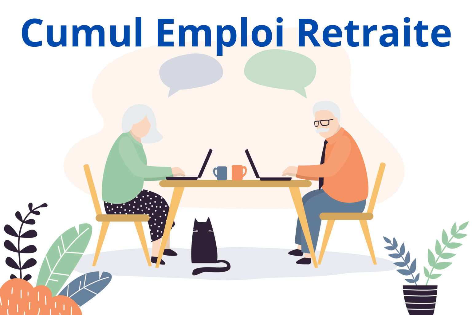 Cumul Emploi Retraite